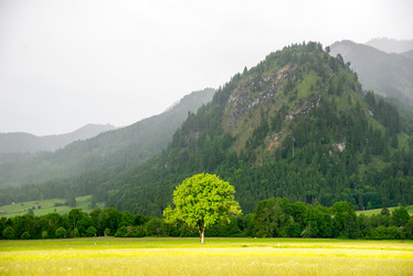 Similar image 12697945