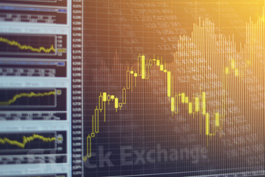 Similar image 13000646