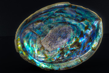 Similar image 12693306