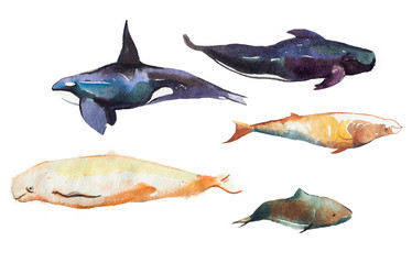 Similar image 13000662