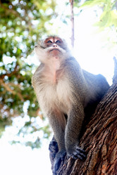 Similar image 12691806