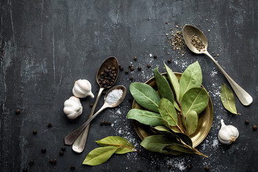 Similar image 12690031