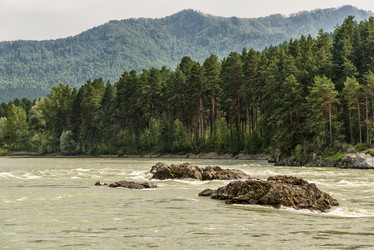 Similar image 12698169