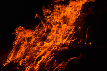 Similar image 12989944