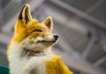 Similar image 12977558