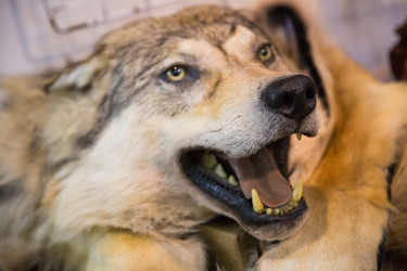 Similar image 12977559