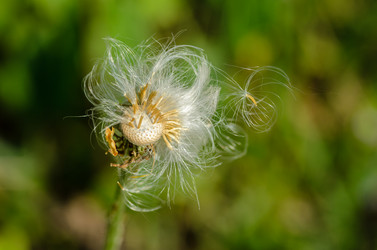 Similar image 12689786