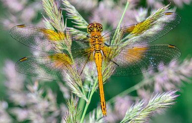 Similar image 12689788