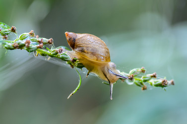 Similar image 12689789