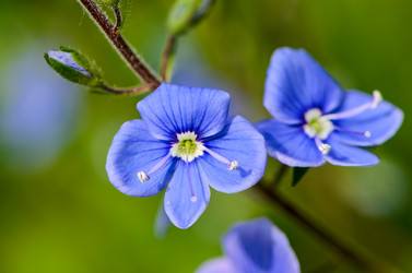 Similar image 12689791