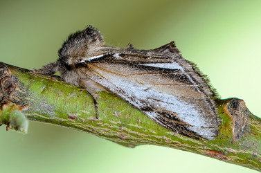 Similar image 12689793