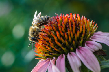 Similar image 12689892