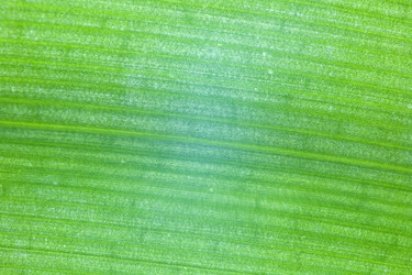 Similar image 12690694