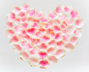 Similar image 12690696