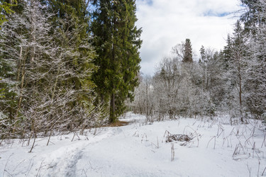 Similar image 12988759