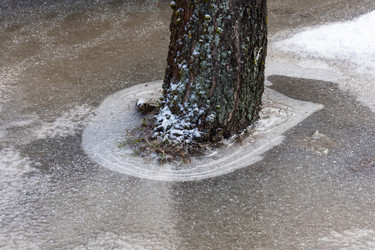 Similar image 12988760