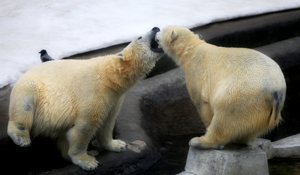 Similar image 12979419