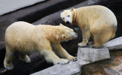 Similar image 12979420