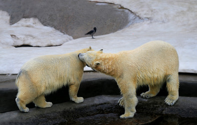 Similar image 12979430