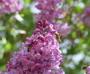 Similar image 12989925