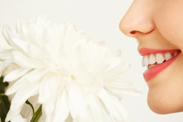 Similar image 12693595