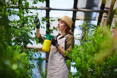 Similar image 12693323