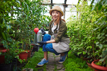 Similar image 12693360