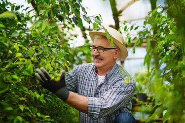 Similar image 12693362