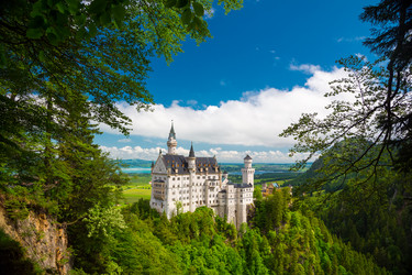 Similar image 12979190