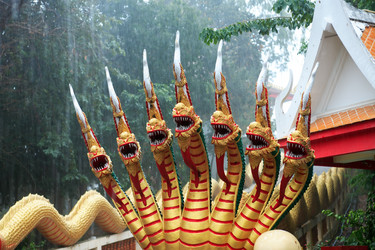 Similar image 12691757