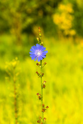 Similar image 12690180