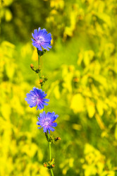 Similar image 12690181