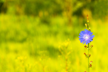 Similar image 12690182