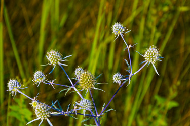 Similar image 12690183