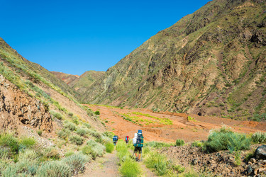 Similar image 12690191