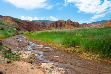 Similar image 12690204