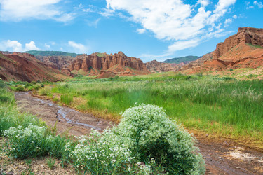 Similar image 12690205