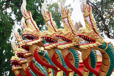 Similar image 12691819