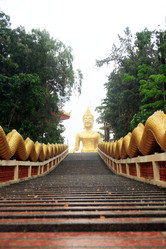 Similar image 12691822