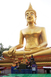 Similar image 12691823