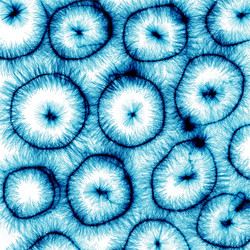 Similar image 12689719