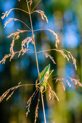 Similar image 12689802