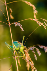 Similar image 12689803