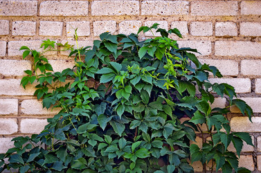 Similar image 12689928