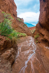 Similar image 12988761