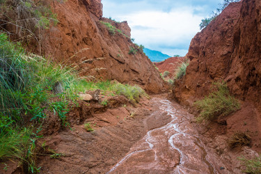 Similar image 12988762