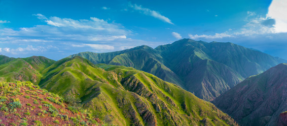 Similar image 12988764