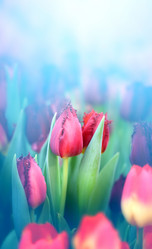 Similar image 12979381