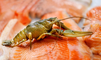 Similar image 12979383