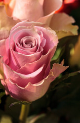 Similar image 12697849